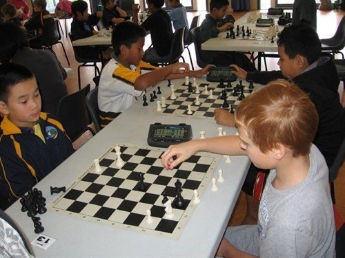 Chess & Carrom